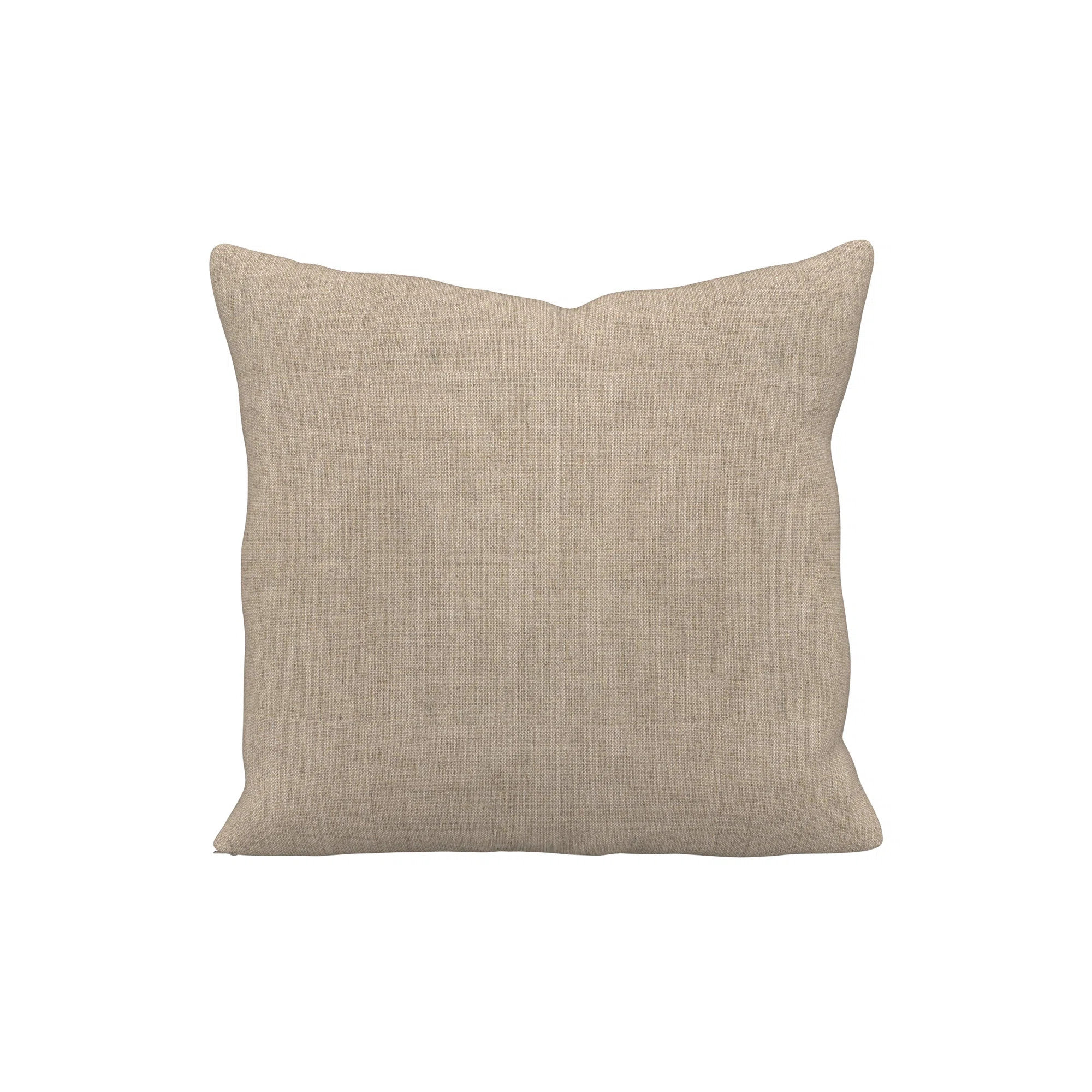 Indoor/Outdoor Throw Pillow | Joss & Main