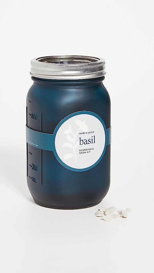Shopbop @Home Basil Garden Jar | SHOPBOP | Shopbop