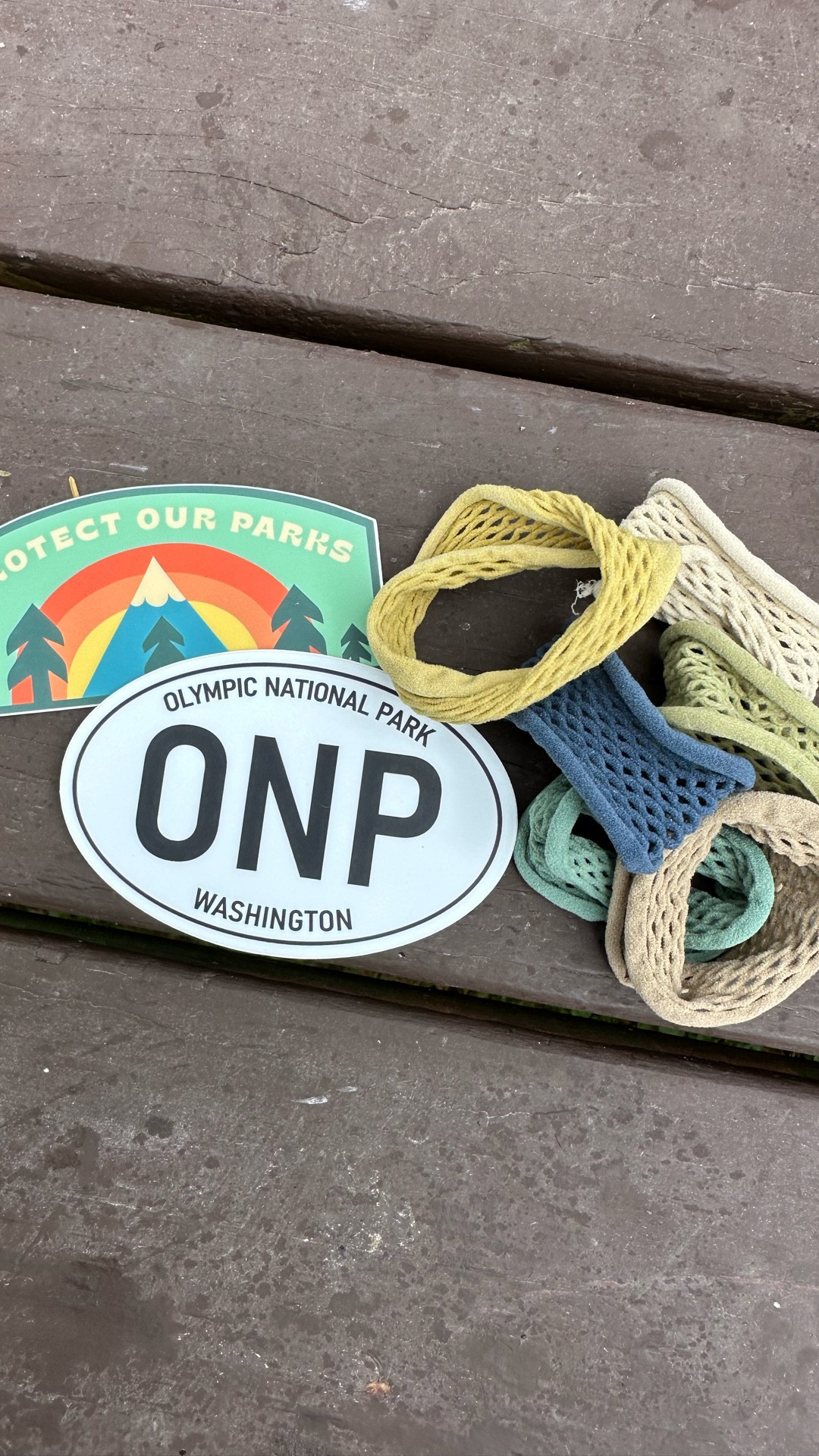 8 days of van life in the Olympic National Park with our 3 dogs…



#LTKTravel