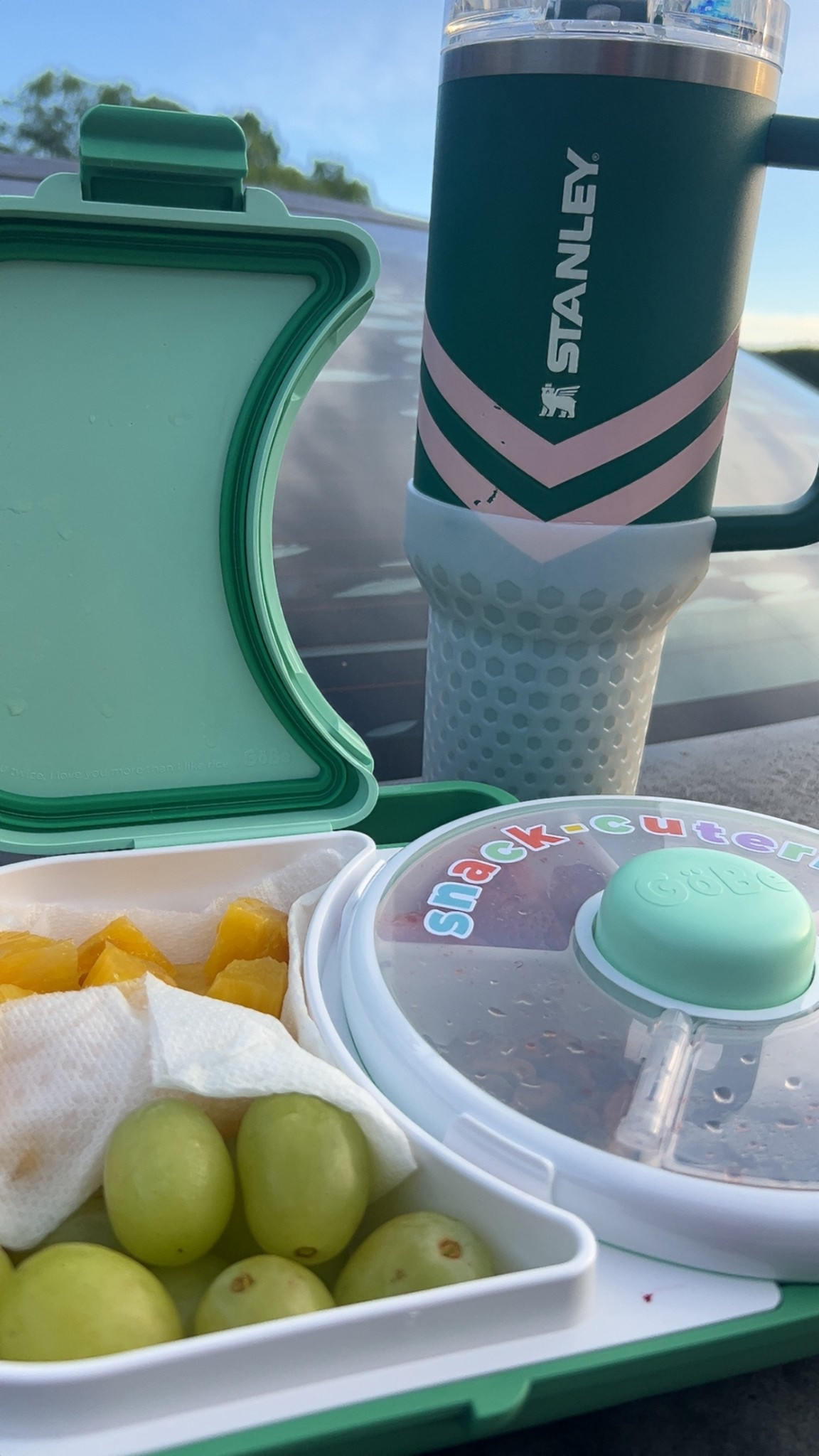 Sometimes our mornings need a stanley full of ice cold water, with a “snack-cuterie” filled with fruit, and sunshine. Just in time for summer! 

#LTKU