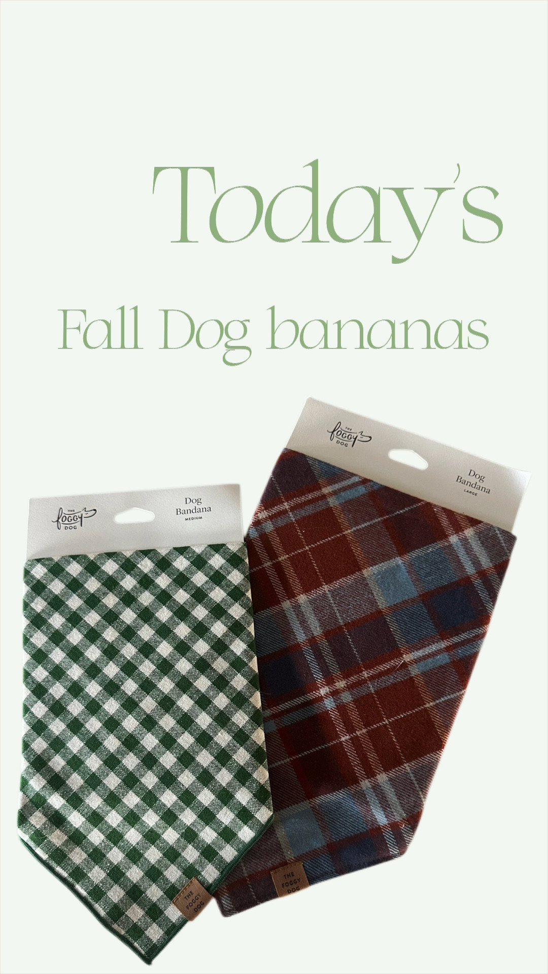 How cute are these Fall dog bananas from Foggy Dog?! Dogs are getting a bath next week and these are going on immediately after 💚🐾

#dog #puppy #fallpet

#LTKSeasonal #LTKStyleTip #LTKPets