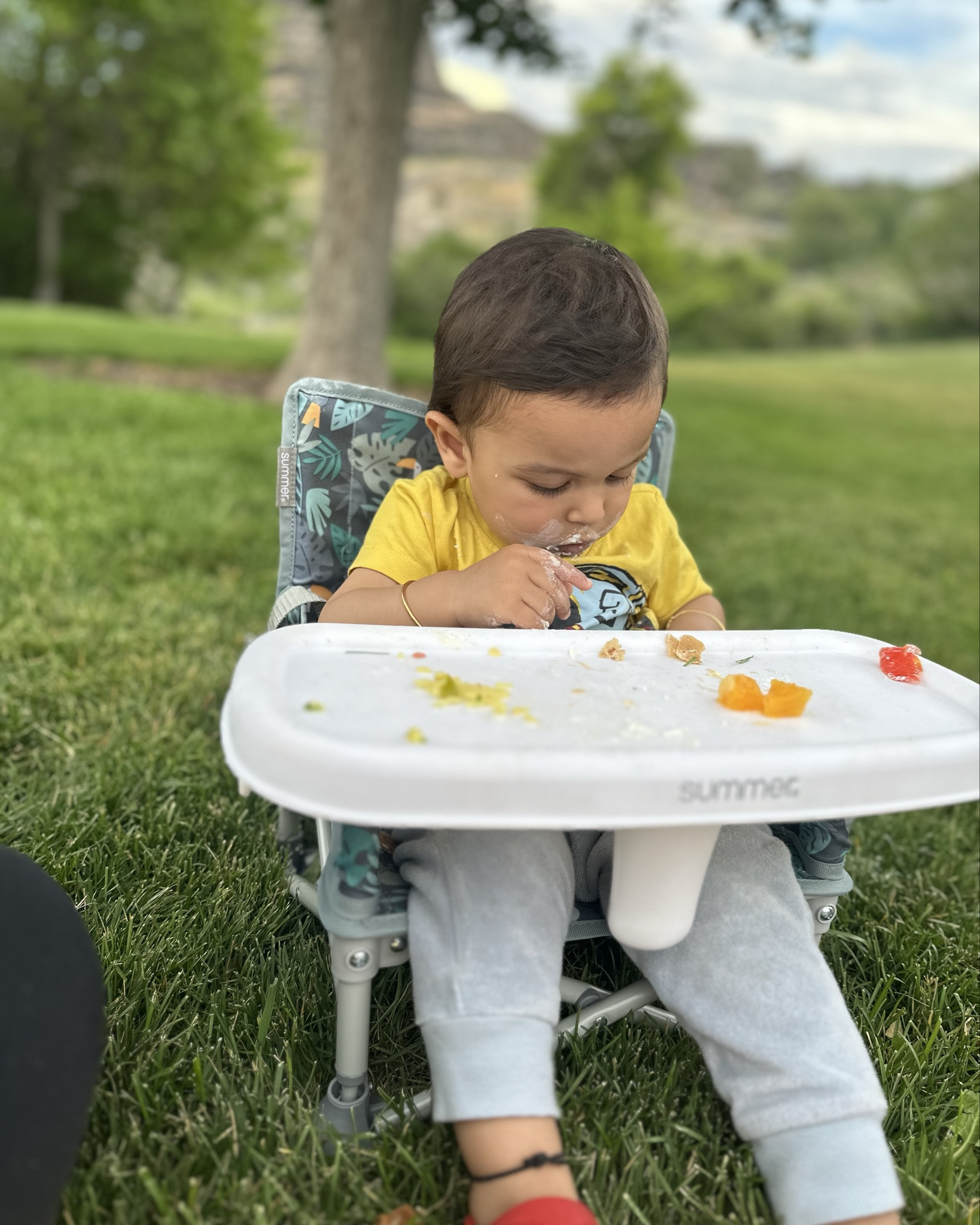 Best portable booster seats/chair for babies and toddlers ❤️

#LTKKids #LTKBaby #LTKFindsUnder50