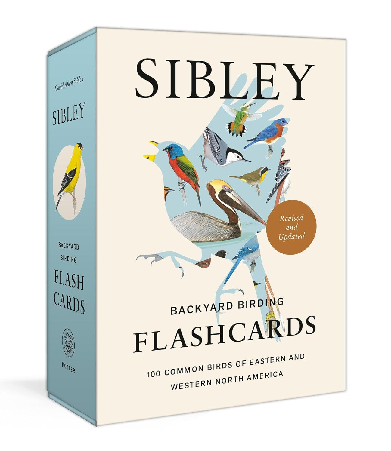 Sibley Backyard Birding Flashcards, Revised and Updated: 100 Common Birds of Eastern and Western ... | Amazon (US)