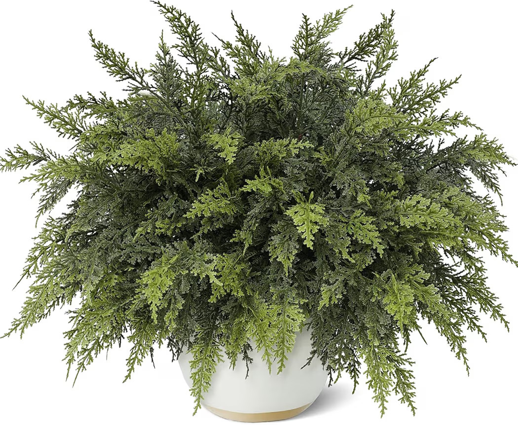 18" Real Touch Cedar Branches -12 Pcs, Artificial Christmas Cedar Branch Realistic Fake Pine Pick... | Amazon (US)