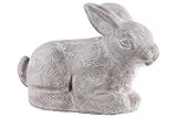 Urban Trends Terracota Rabbit Figurine LG Washed Concrete Finish Gray, Gray | Amazon (US)