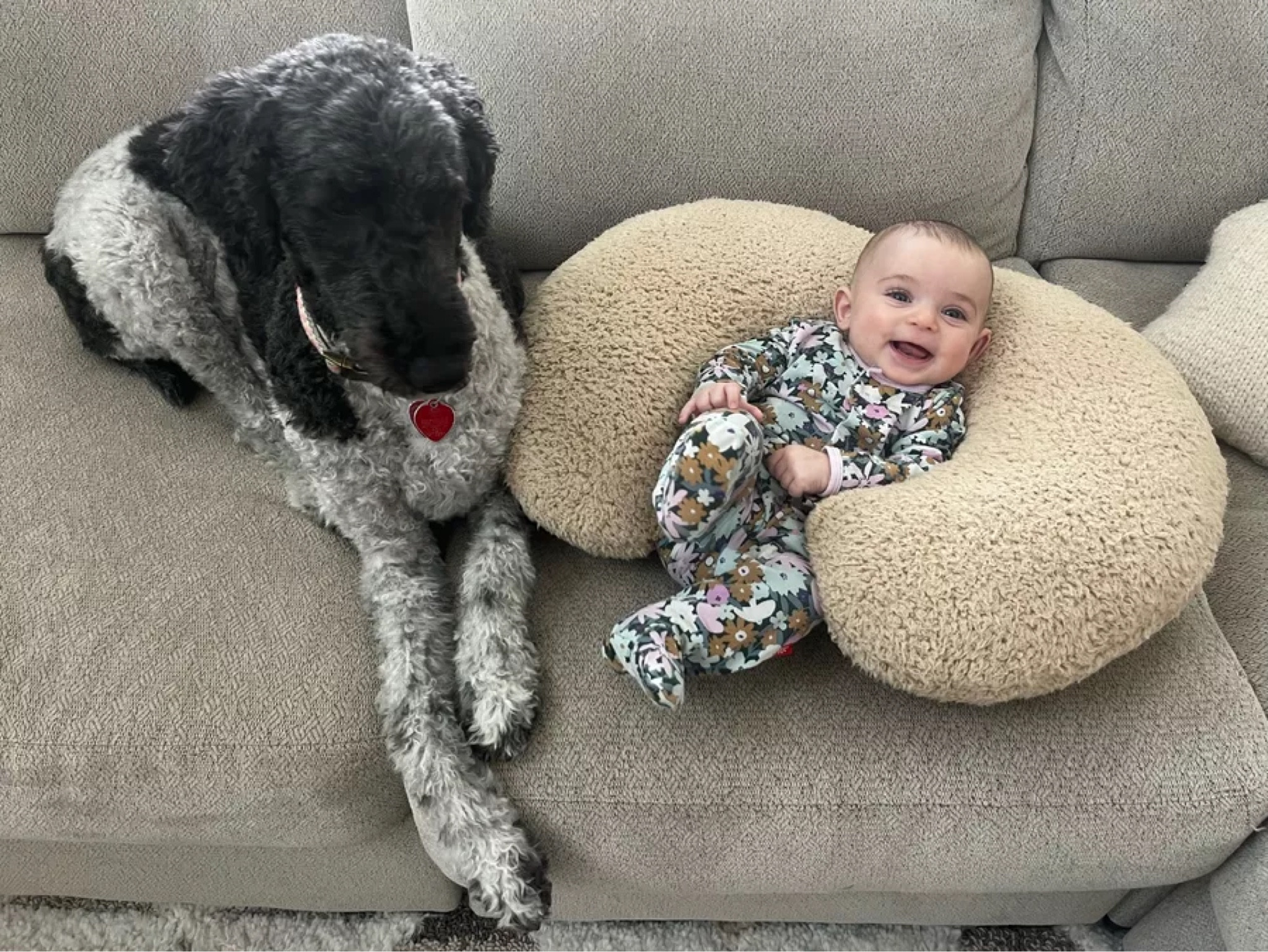 Boppy and boppy cover are the best for babies. 

Sherpa Boppy 
Items for baby
Etsy 

#LTKfindsunder100 #LTKbaby