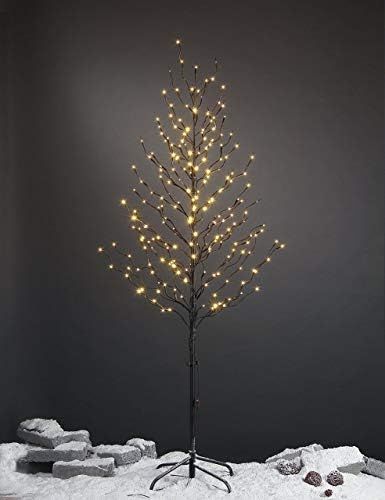 LIGHTSHARE 6Ft 240L LED Star Light Tree, for Home Festival Party Christmas, Indoor and Outdoor Us... | Amazon (US)