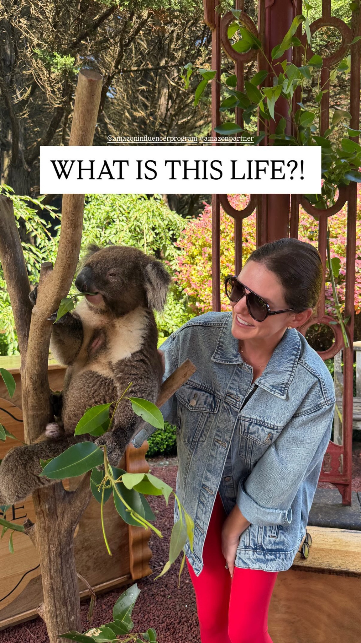 WHAT IS THIS LIFE?!

#LTKTravel #LTKstorytime #LTKdayinmylife
