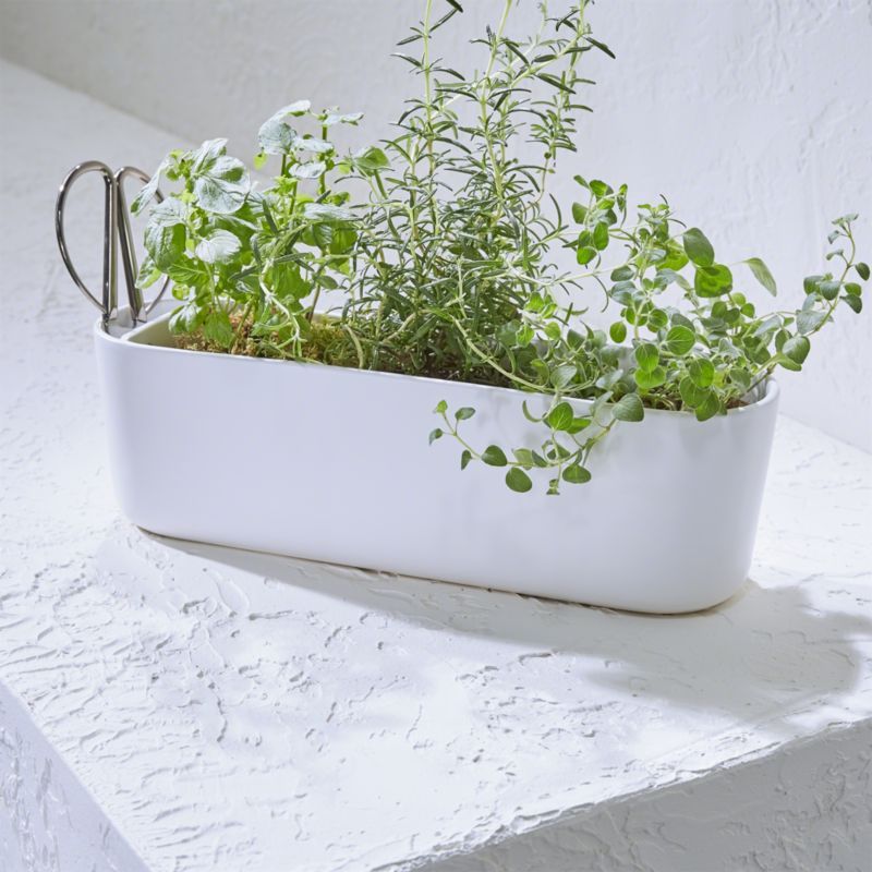 Indoor/Outdoor Herb Planter with Scissors + Reviews | Crate and Barrel | Crate & Barrel