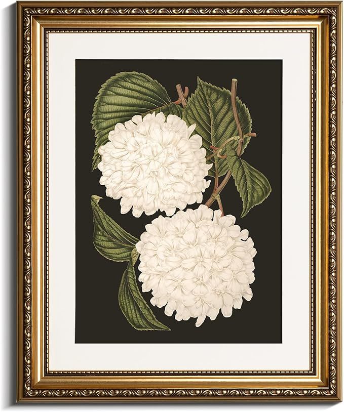 VIYYIEA Gold Framed Wall Art Canvas Print Home Decor White Hydrangea Oil Painting Canvas Prints R... | Amazon (US)