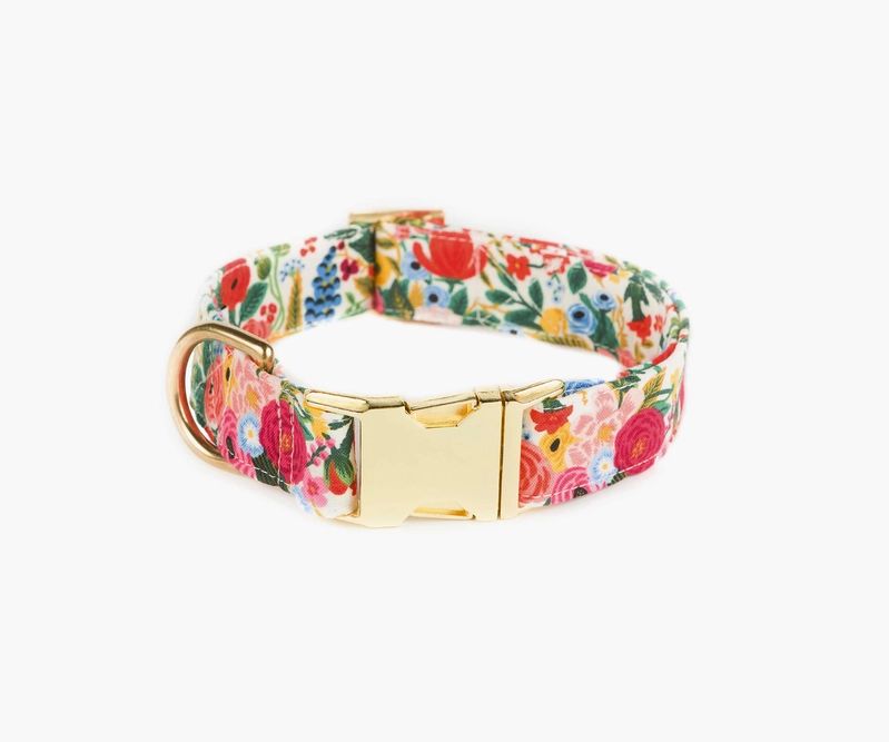 Garden Party Cream Dog Collar | Rifle Paper Co.