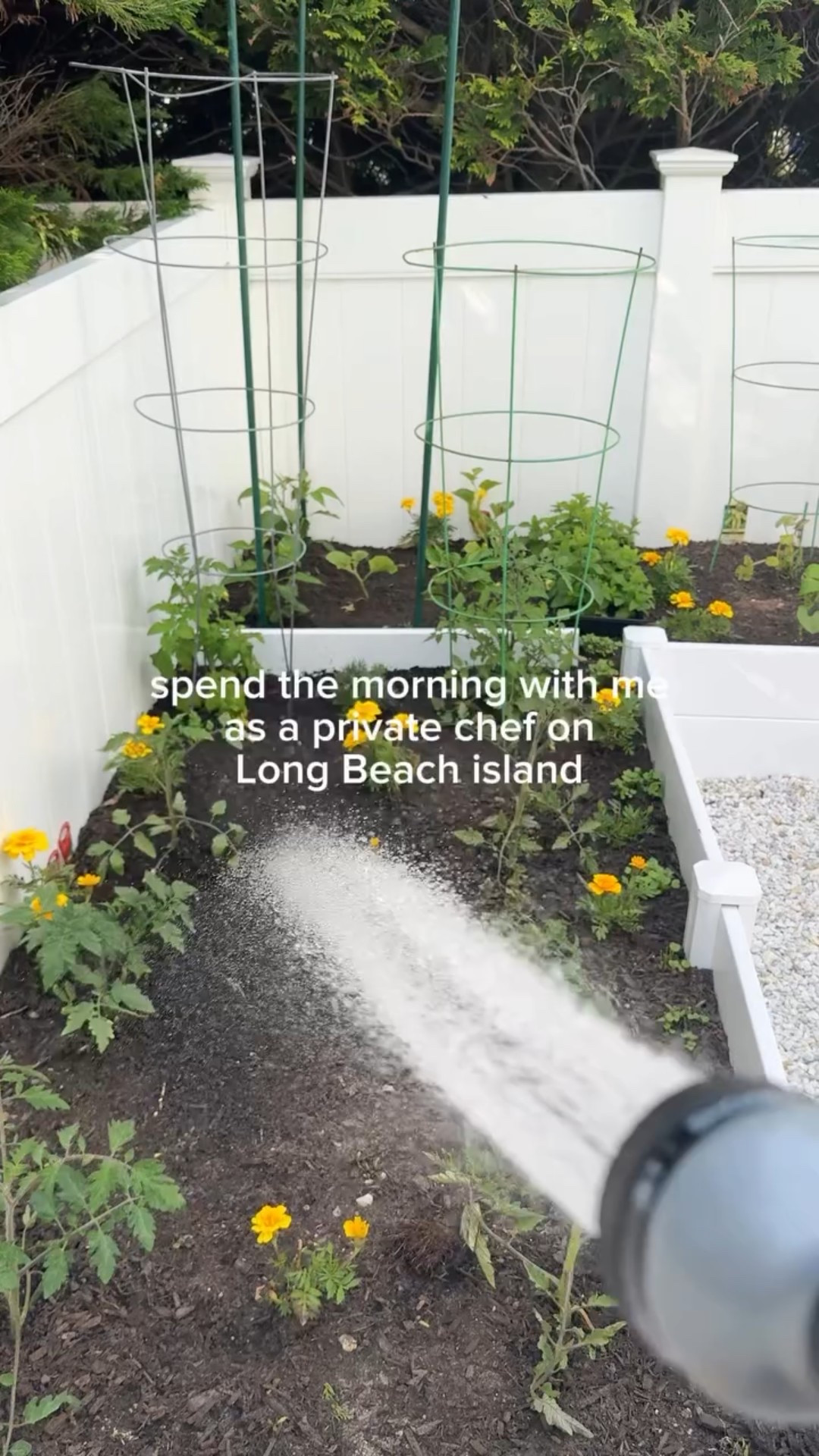 the prep before the prep - every meal I make starts with sourcing the highest quality ingredients I can find. this sets the tone for my end product…if the raw ingredients are great then my end dish will be even better (assuming I don’t mess something up lol)👩🏻‍🍳🐉🍅

#privatechef #localingredients #shoplocal #lbi #longbeachisland #cheflife