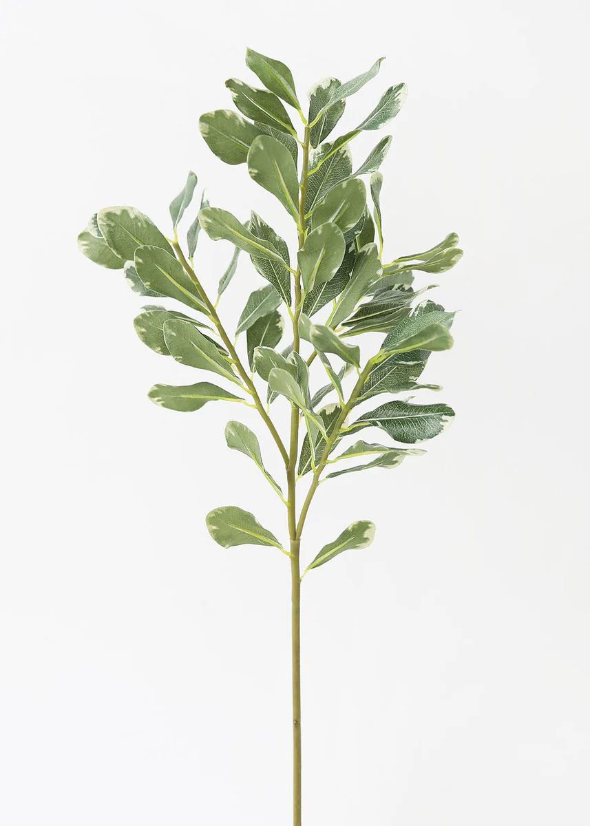 Faux Pittosporum Leaf Branch - 30.5 | Afloral (US)