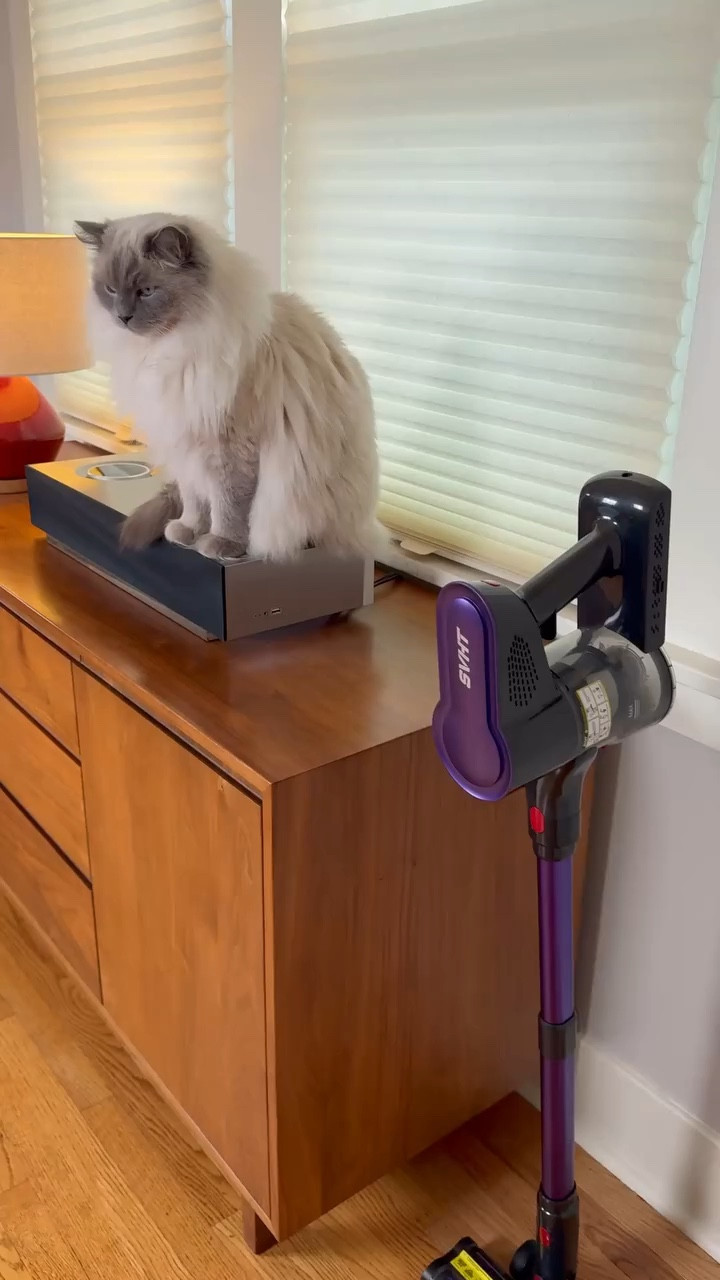 This Laser Vacuum Reveals Everything You've Been Missing #vacuumcleaner #ad  