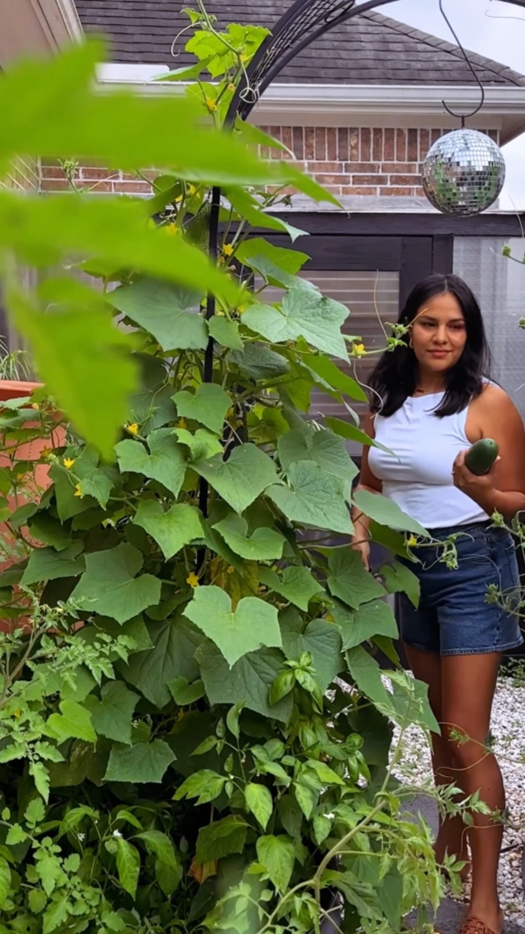 Raised garden beds. Modern garden.