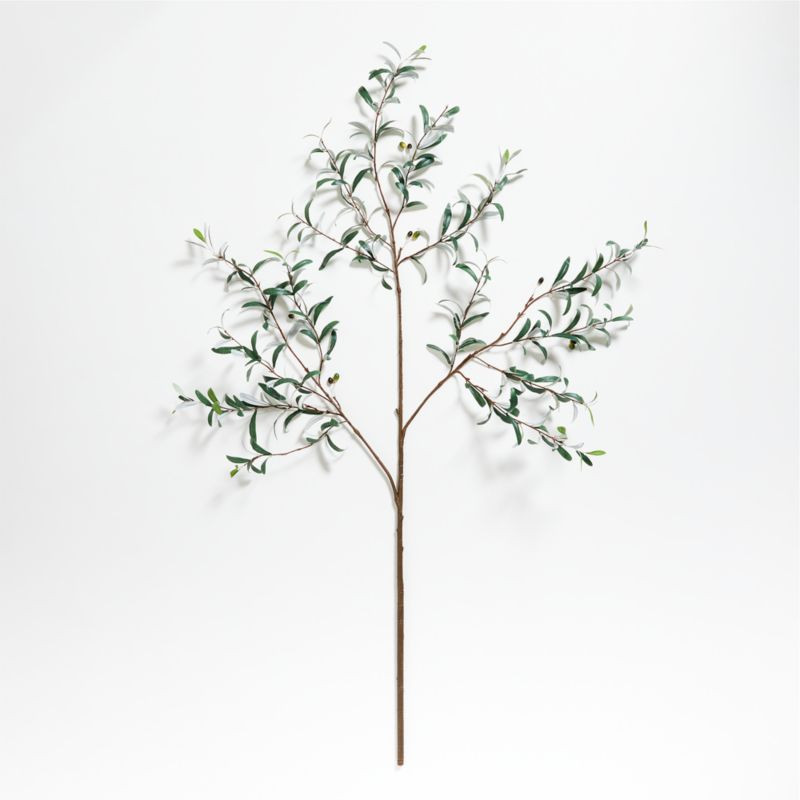 Large Faux Olive Stem + Reviews | Crate & Barrel | Crate & Barrel