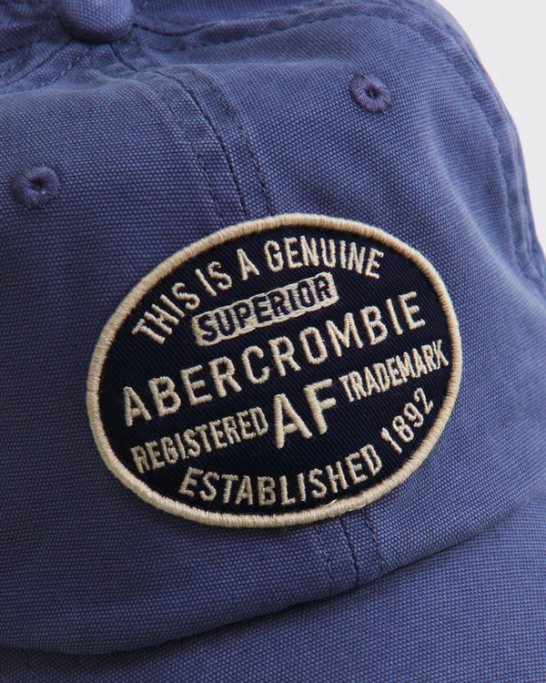Logo Baseball Hat | Abercrombie & Fitch (US)