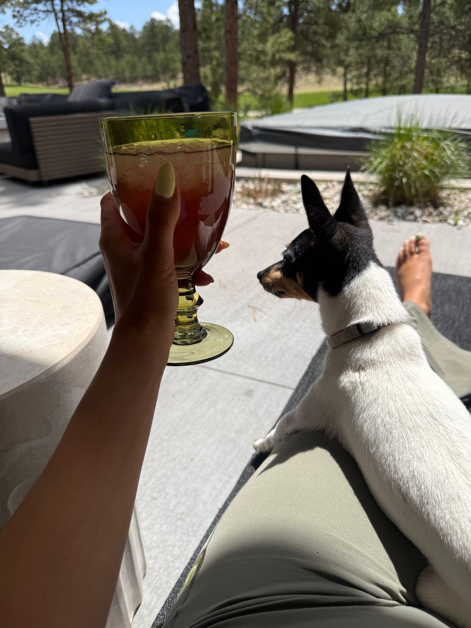 Our favorite spot. So glad we got loungers for the patio! Linking some similar options. Our are from RH and cannot be linked.

#LTKdayinmylife #LTKSeasonal #LTKHome
