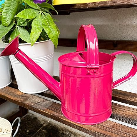 HORTICAN 0.3 Gal Galvanized Steel Watering Can Decorative Farmhouse Style Watering Can, Removable... | Amazon (US)