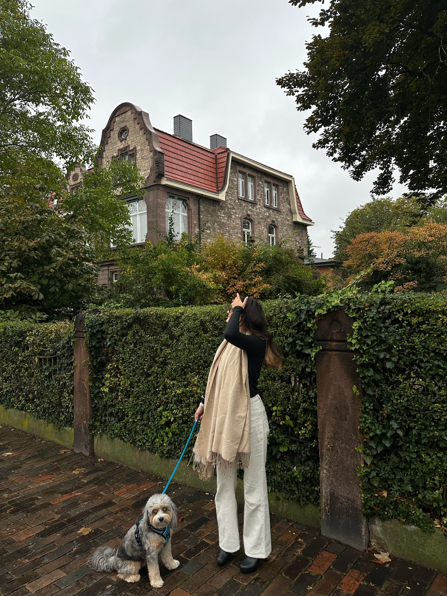 cutie basic fall fit 🤍🍁✨☕️🍂

#LTKSeasonal #LTKstyletip