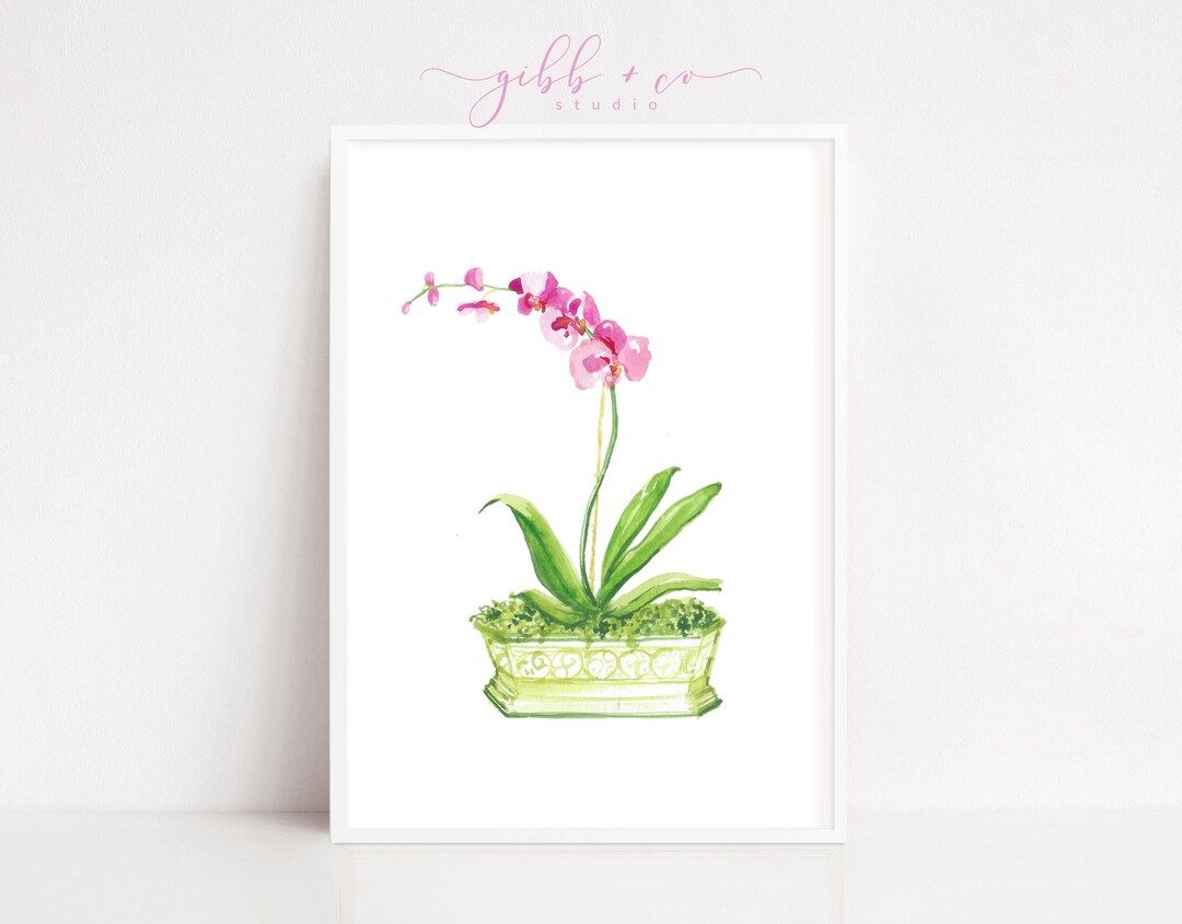 Pink Orchids Green Container Art Print Watercolor Art - Etsy | Etsy (US)