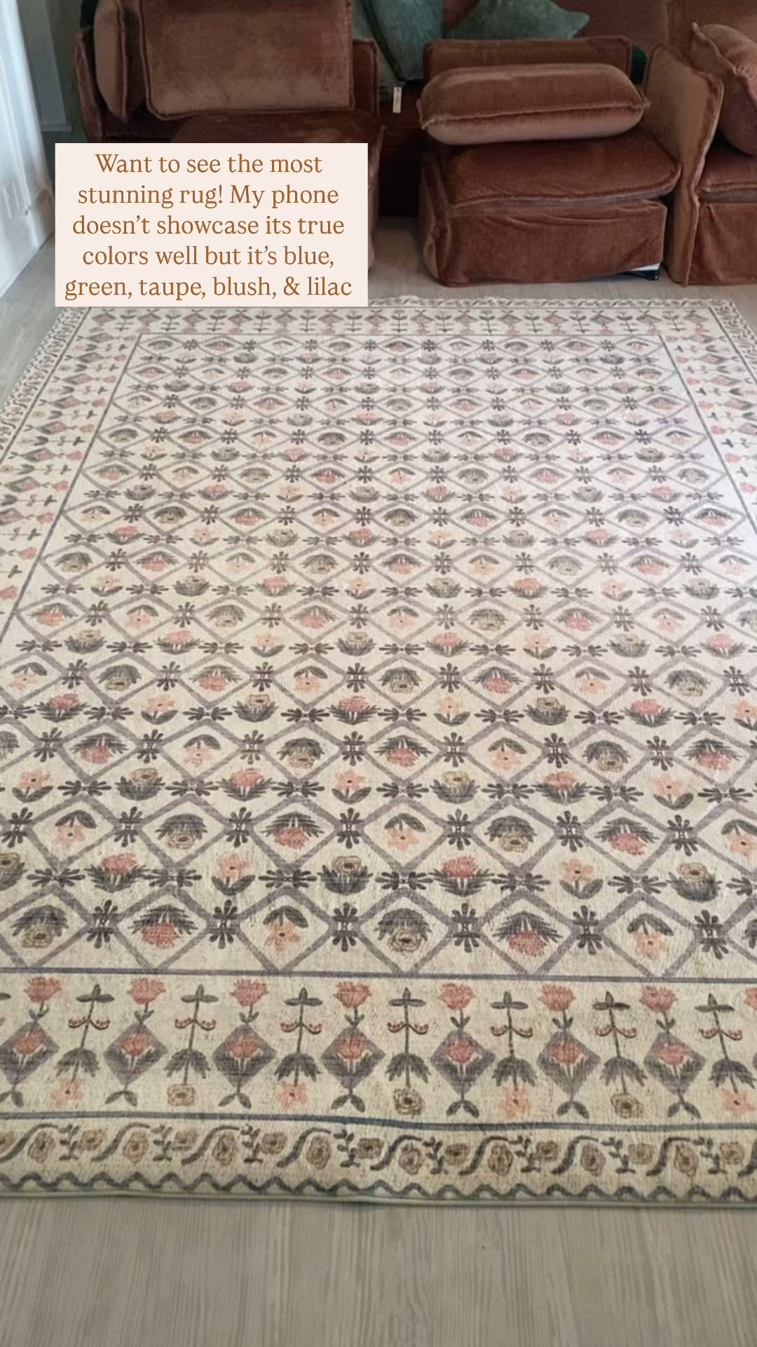 Literally an absolutely stunning rug! 

#LTKHome #LTKWatchNow #LTKStyleTip