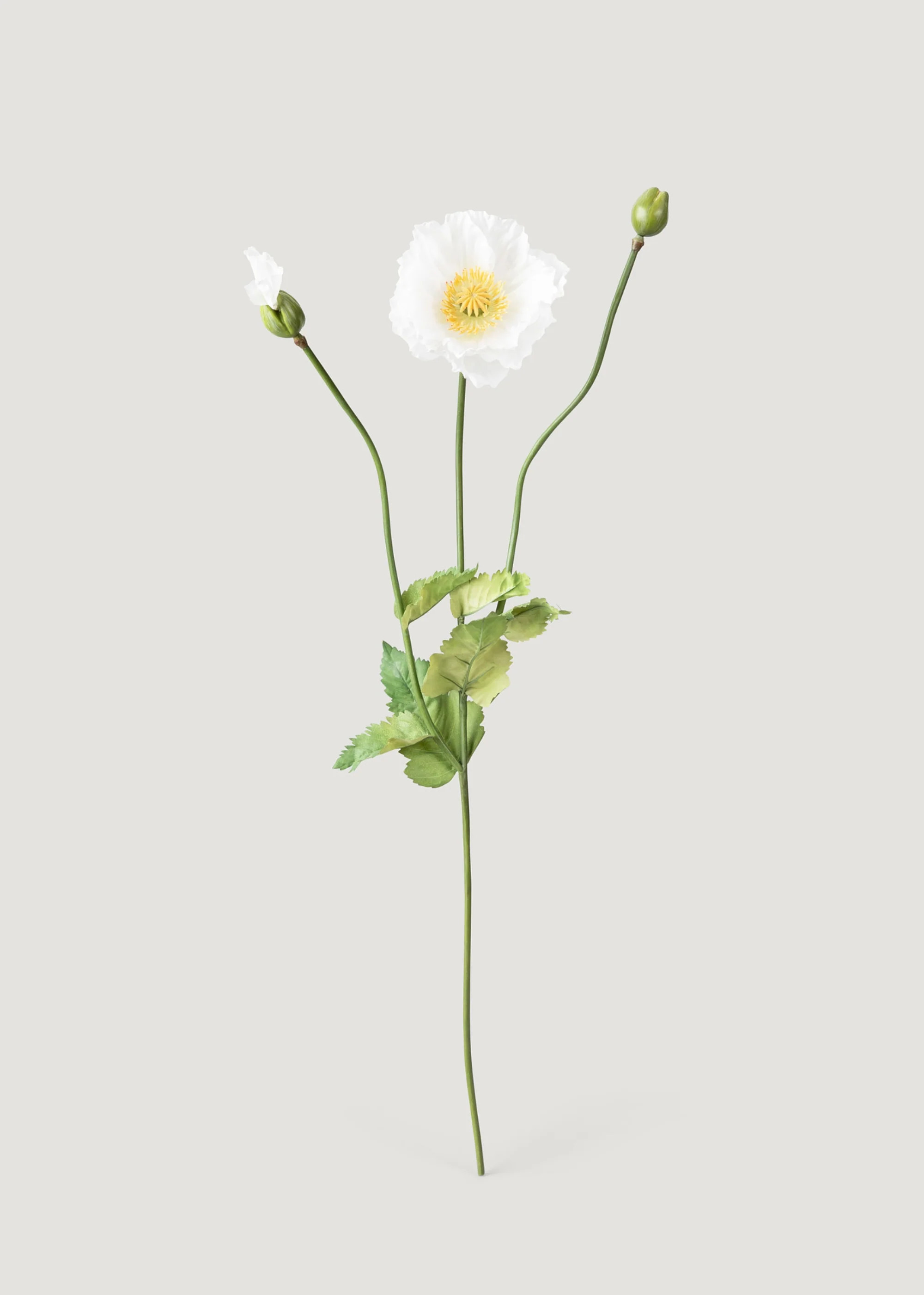 Poppy Flower - 31" | Faux, White | Afloral | Afloral