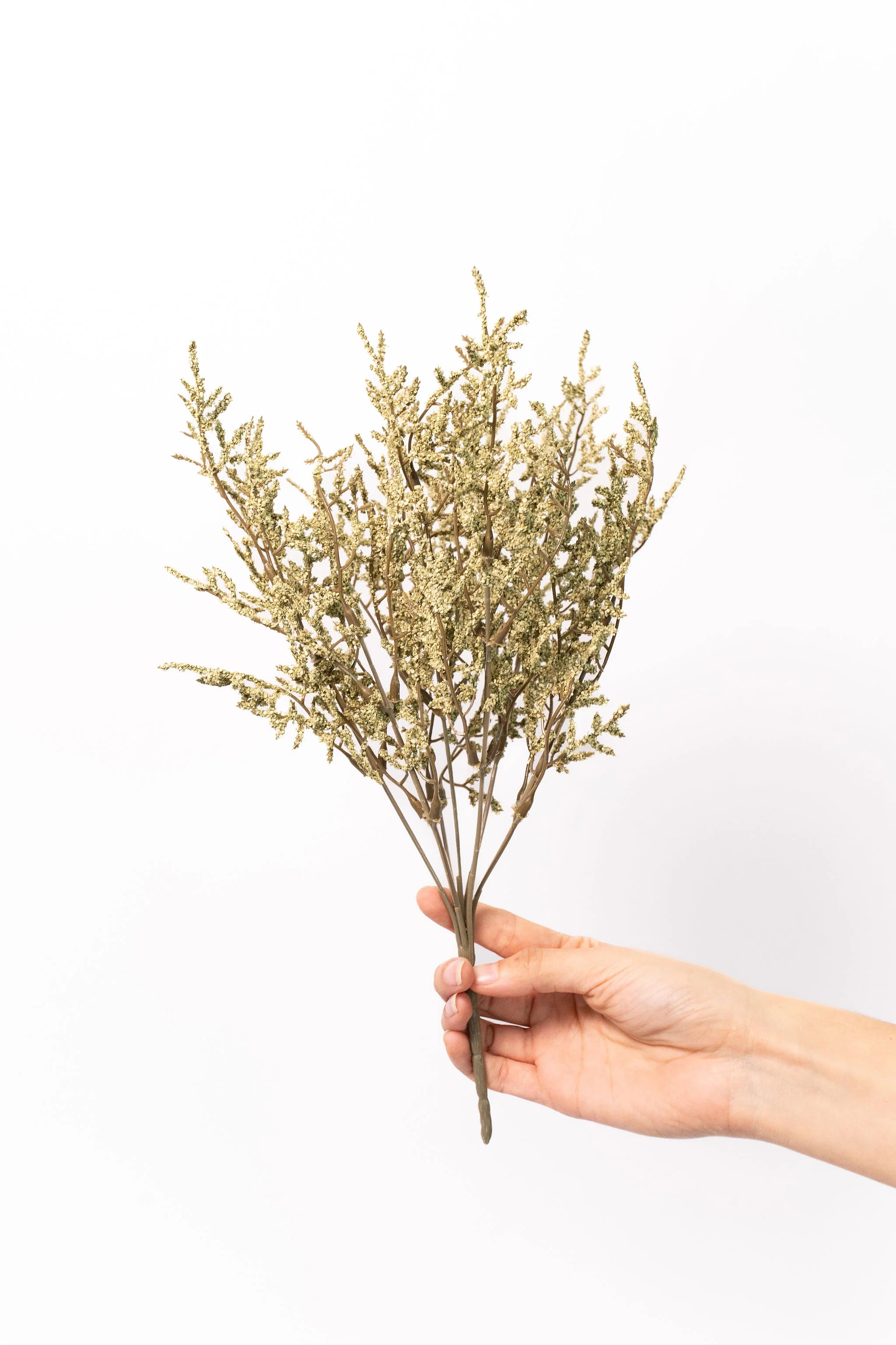 Dance Plant Stem - 14.5" | THELIFESTYLEDCO