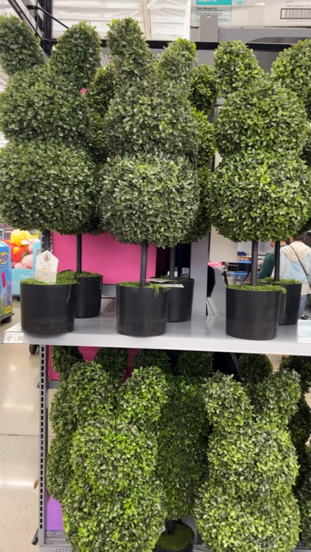 The bunny topiaries are back in stock!! Easter home decor, Walmart Easter finds, spring home decor, spring finds  

#LTKSeasonal #LTKSaleAlert #LTKHome
