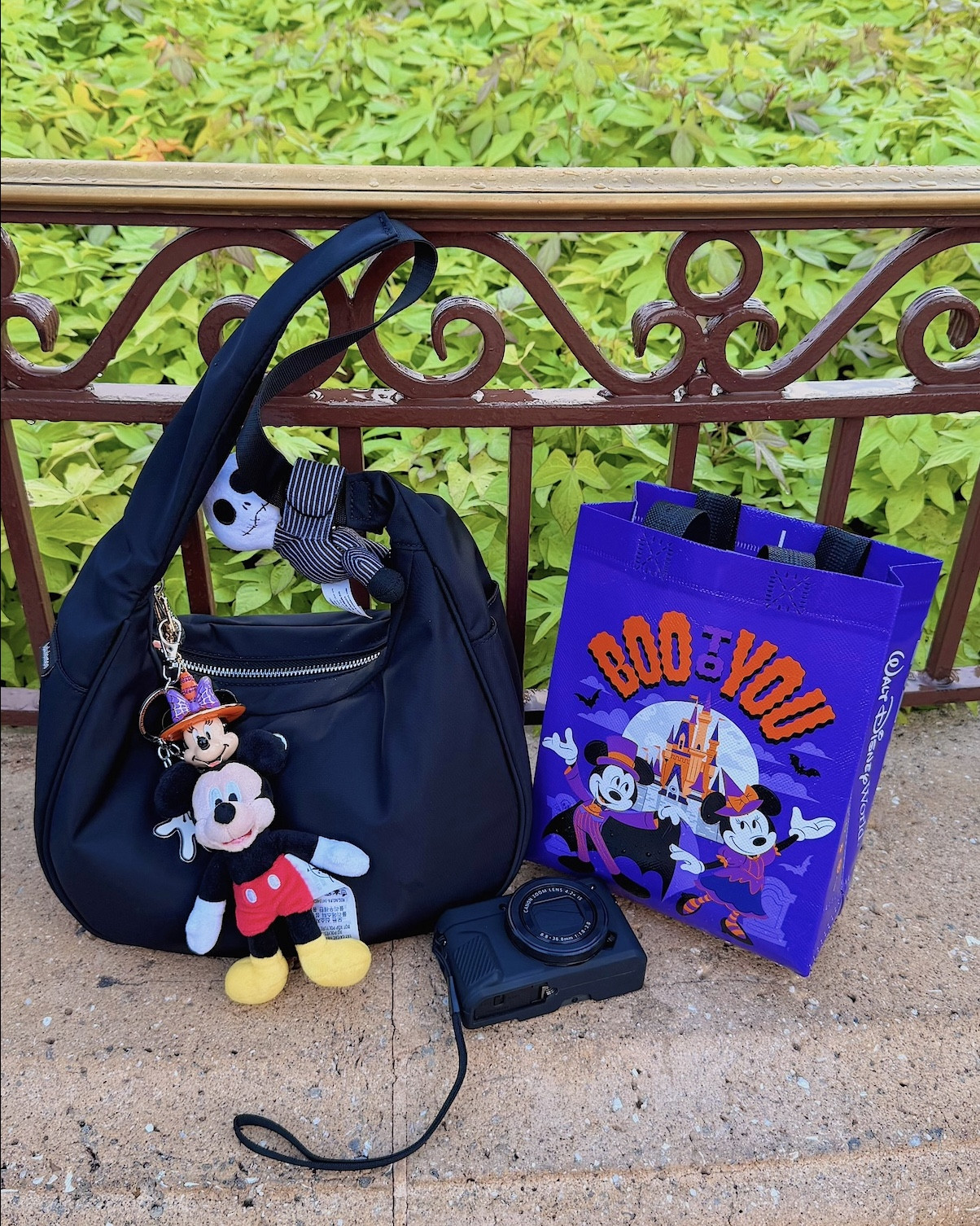 mnsshp accessories 🤎🎃🐭🍂

#LTKTravel #LTKStyleTip #LTKU