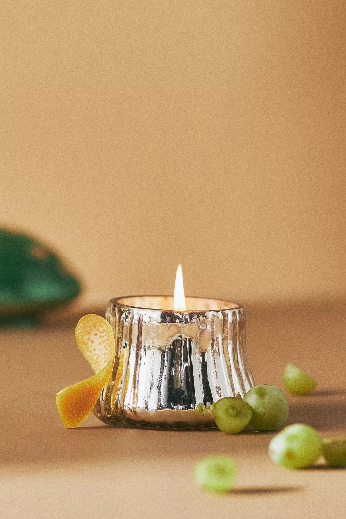 Fungi Fresh White Fir & Citrus Glass Candle | Anthropologie (US)