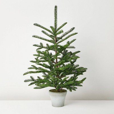 Potted Spruce Artificial Tree - Hearth & Hand™ with Magnolia | Target