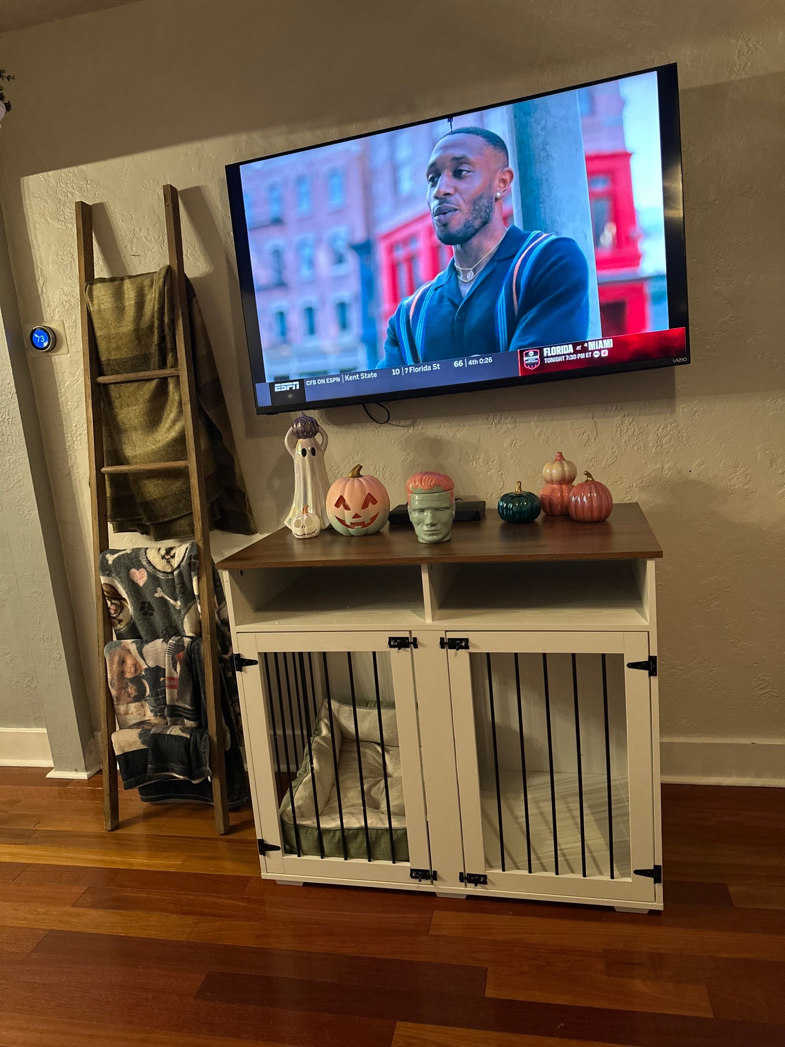 Double dog kennel/ TV stand for the win! 

#LTKPets #LTKHome