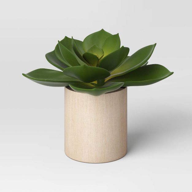 Echeveria in Wood Pot - Threshold™ | Target