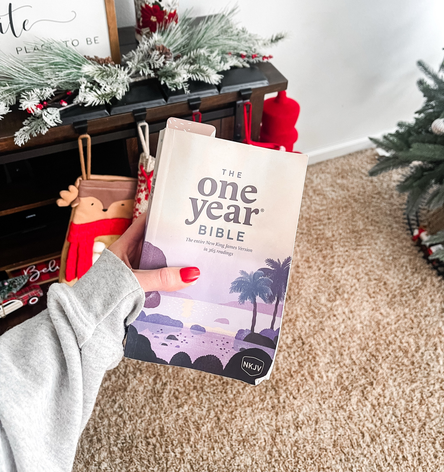 A great gift for someone who’s wanting to read the Bible #christmasgift #Christmas #Bible