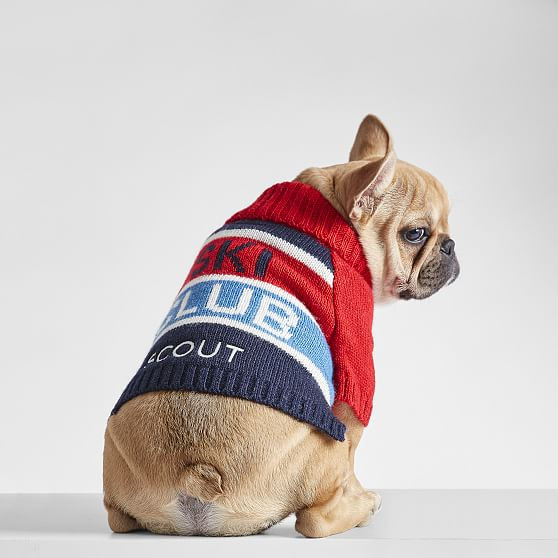 Knit Dog Sweater | Mark and Graham