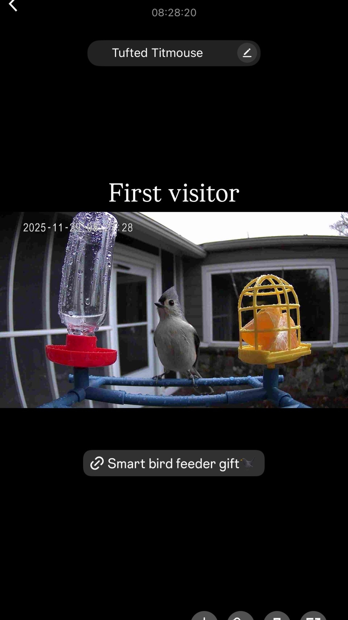 Great Christmas gift for parents and grandparents! We set it up for them and now easy to use from their phones. They love it! Bird lovers, bird watchers, bird feeder

#LTKSaleAlert #LTKCyberWeek #LTKGiftGuide