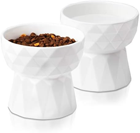 Frewinky Cat Bowls,Ceramic Cat Bowls Anti Vomiting,Raised Food and Water Bowl Set for Cats and Sm... | Amazon (US)