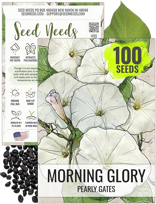Seed Needs, Pearly Gates White Morning Glory Seeds - 100 Heirloom Seeds for Planting Ipomoea Tric... | Amazon (US)