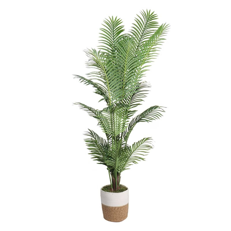 Areca Palm in Deco Basket, 6.5' | At Home