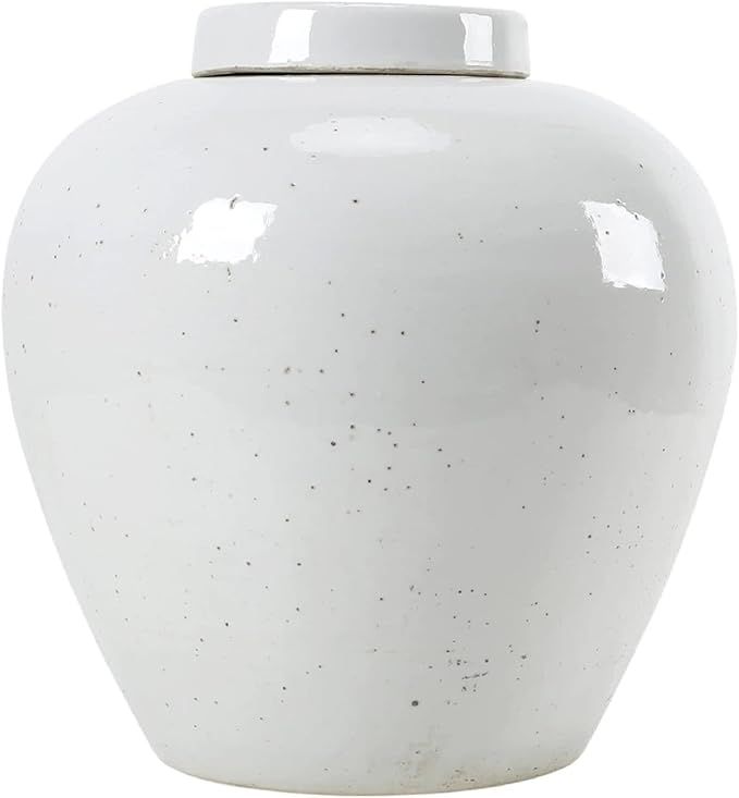 Artissance AM83000100 13.3 in. Tall Off White Matte-Glazed Porcelain Clara Ginger Round Jar with ... | Amazon (US)