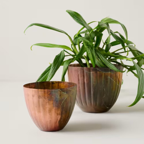 Aged Copper Planters | Magnolia