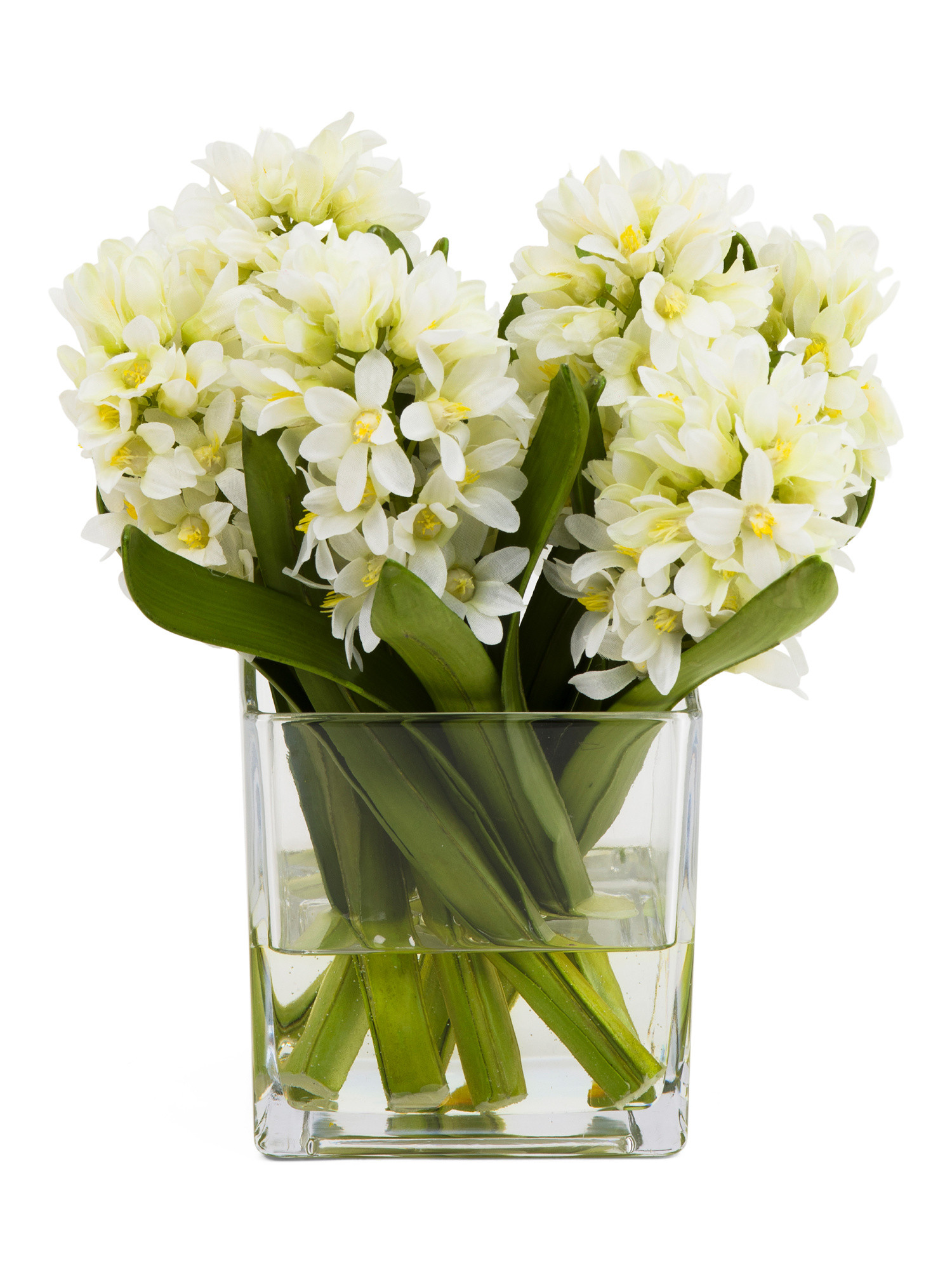 10.5in Hyacinth In Square Glass | TJ Maxx