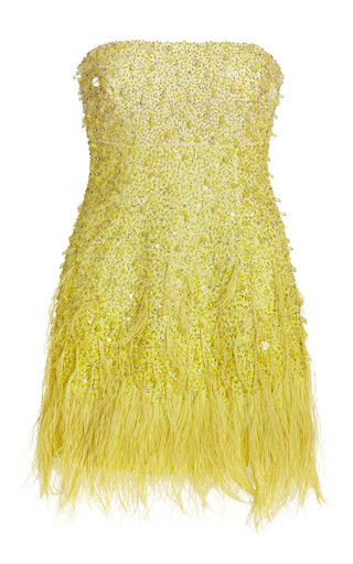 Exclusive Embroidered Strapless Cotton-Blend Mini Dress | Moda Operandi (Global)