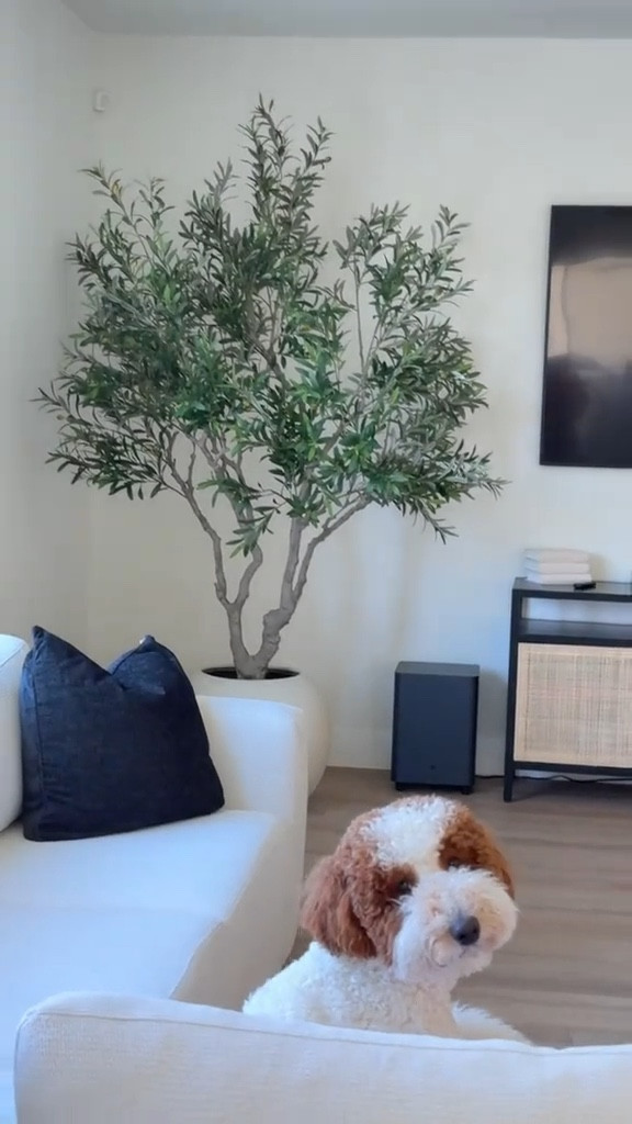 Putting together my new fake olive tree!

#LTKfamily #LTKhome #LTKkids