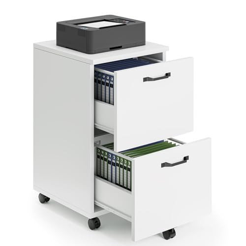 Sweetcrispy 2 Drawer Filing Cabinet White, Rolling Wood File Cabinets with Printer Stand Under De... | Amazon (US)