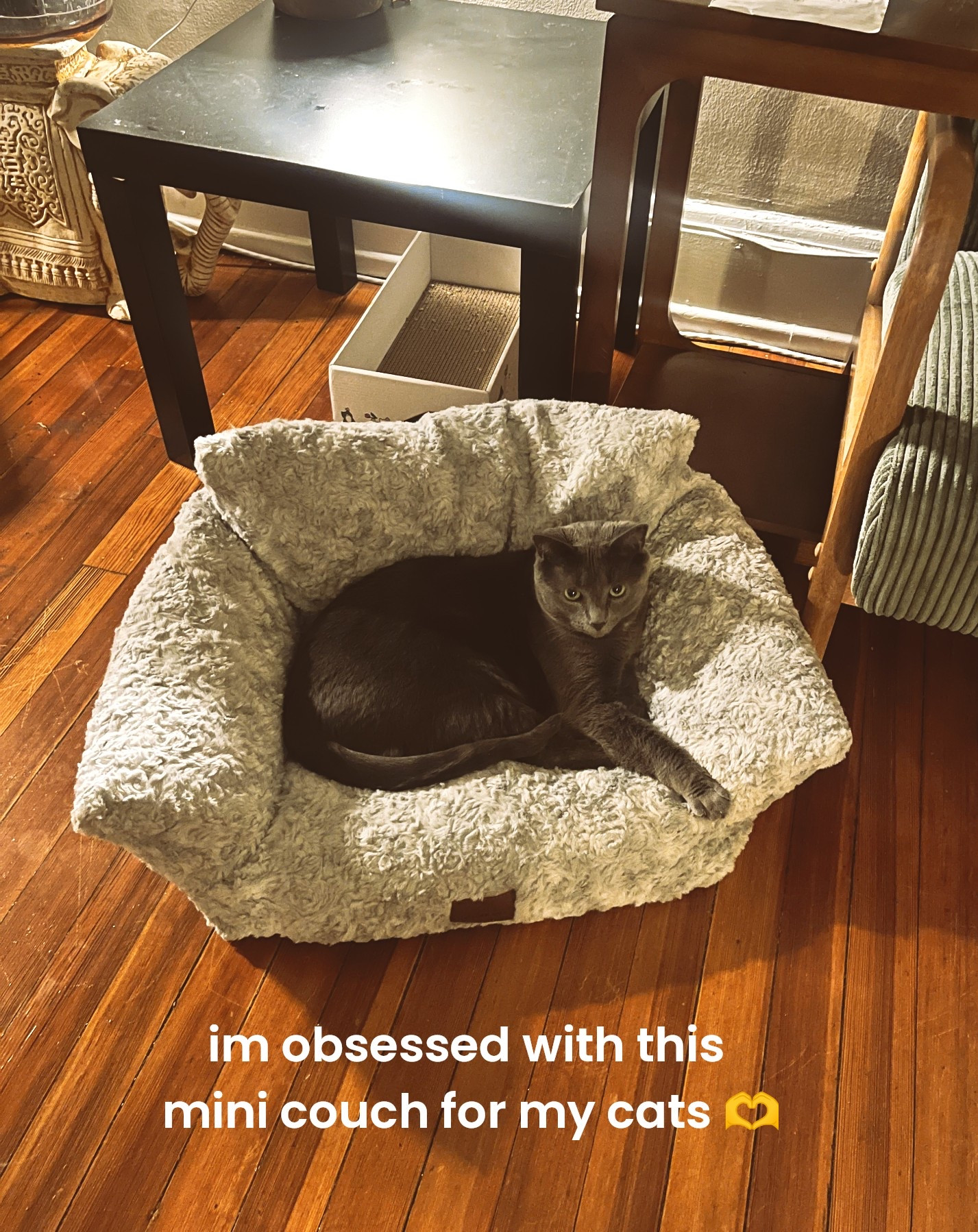 I’m screaming 

#LTKSaleAlert #LTKdayinmylife #LTKmomlife