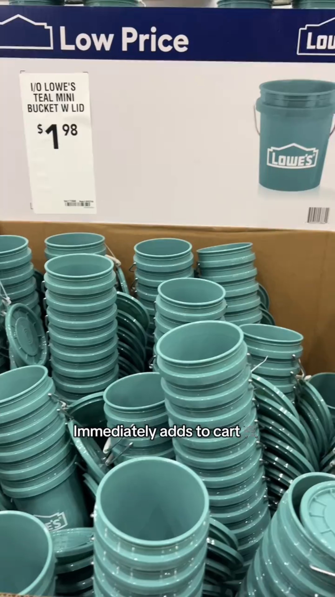 Now I need ideas on what to do with them!

#LTKHome #LTKSpringSale #LTKSeasonal