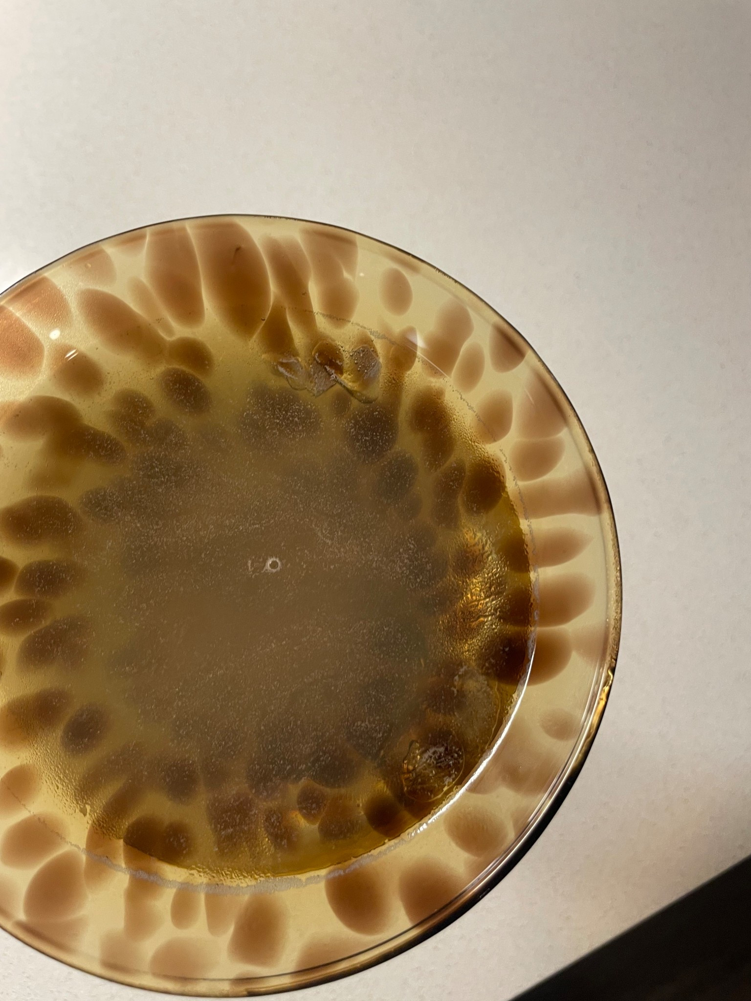 Martini Glasses!!!!!!! Fabulous gift idea!!! 

#LTKHalloween #LTKSeasonal #LTKFindsUnder50