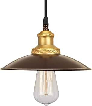 Archives Collection 1-Light Antique Bronze Brass Paint Inside Metal Shade Farmhouse Mini-Pendant ... | Amazon (US)
